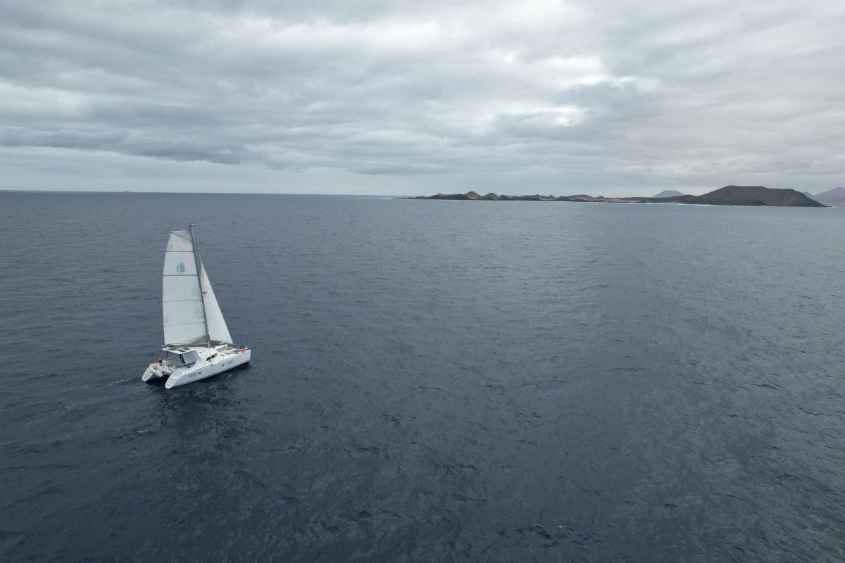 A delightful cruise on the sea