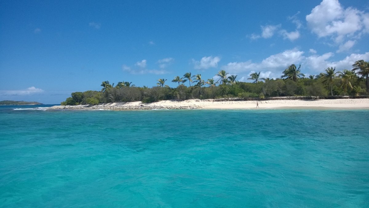 Barcos de navegación: cursos para aprender