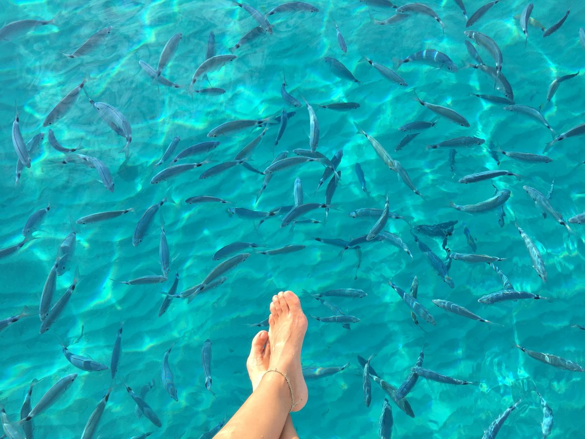 Entspannung und Abenteuer auf dem Meer in Ibiza und Formentera von Denia