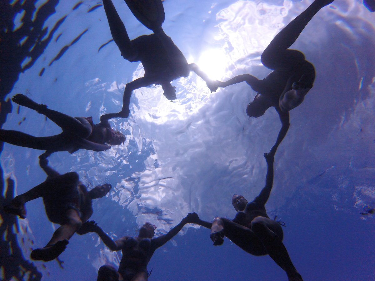 Experiencia de navegación en el mar entre Elba y Giannutri
