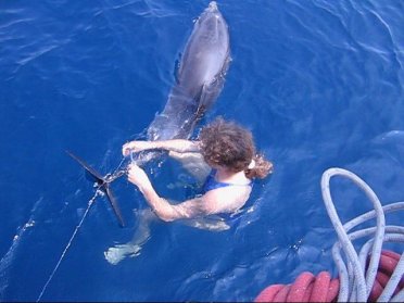 Crociera didattica. Navigare a Ischia: tra scienza e arte