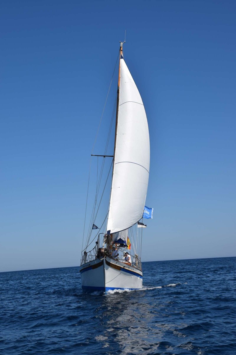 Avventura di navigazione di 4 giorni da Cadice ad Alicante