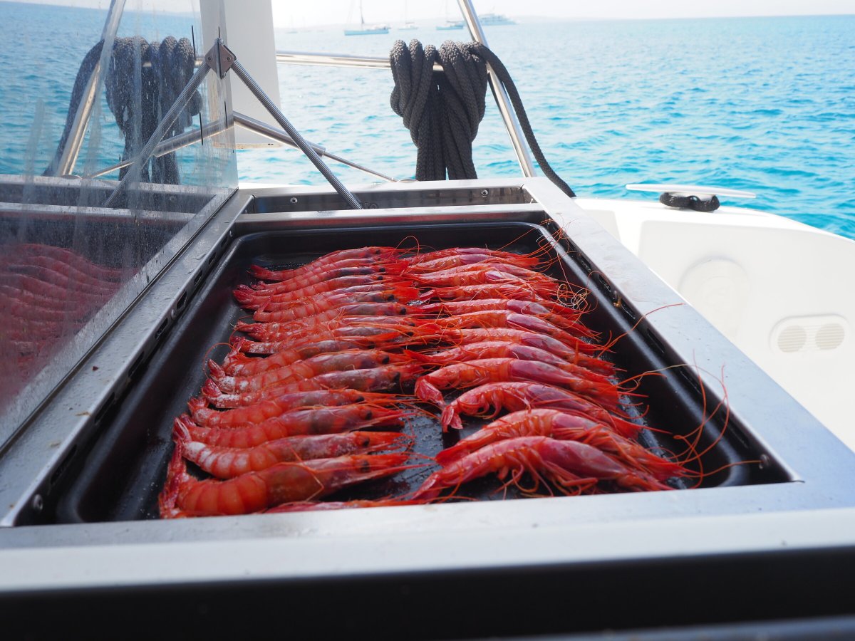 Exotic destinations on a private cruise