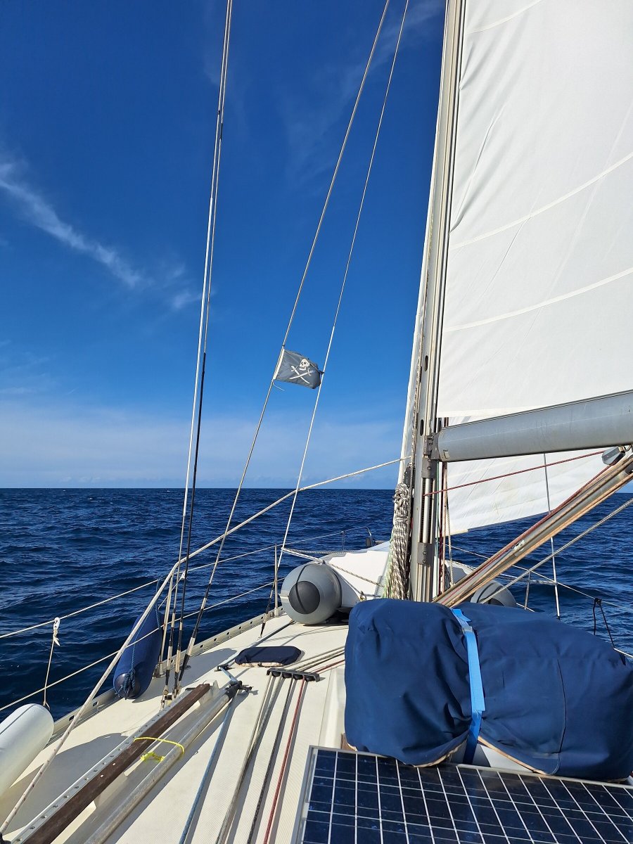 Sailboat on the coast