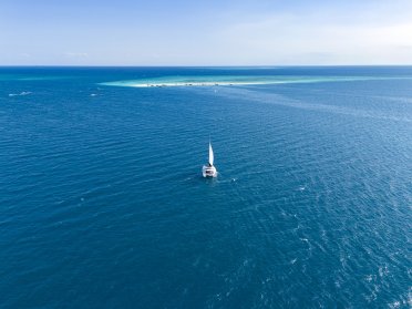 Crucero en catamarán y safari por Zanzíbar