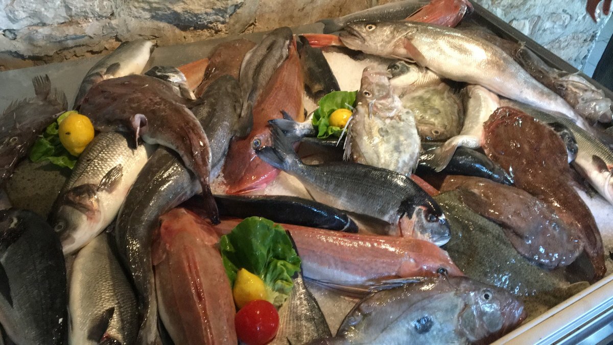 Goditi la bellezza naturale delle baie croate