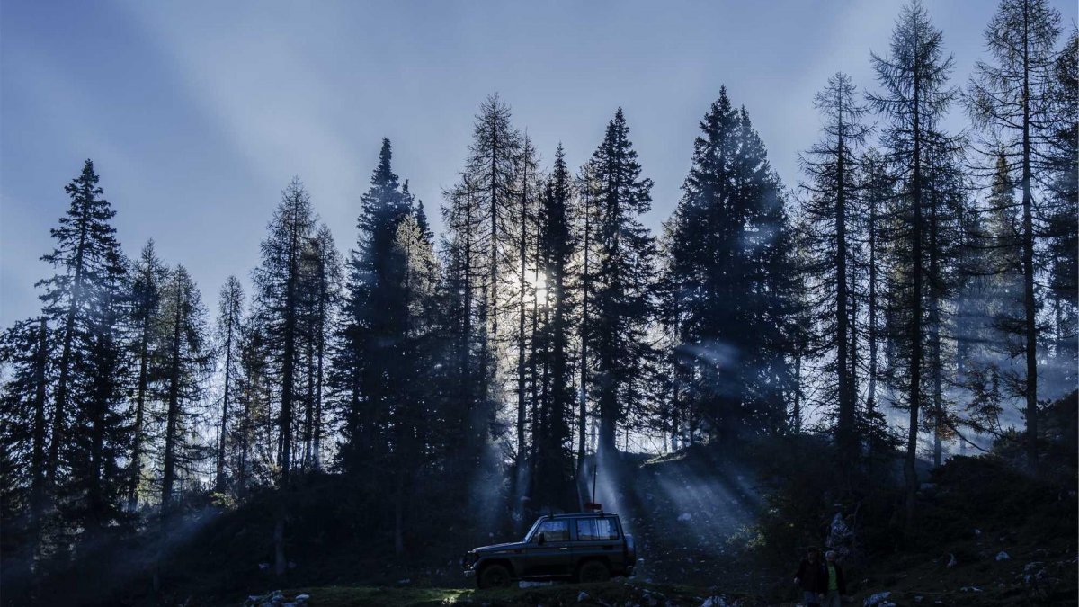 Vive la aventura en el océano con un viaje en barco