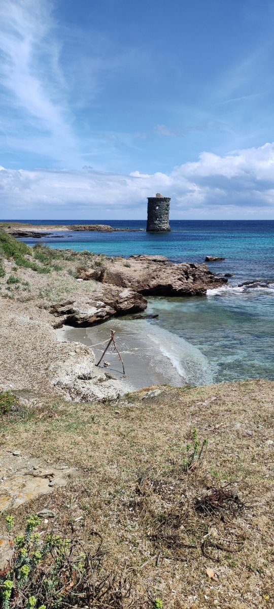 Viaje de barco y excursiones de fin de semana en Capraia