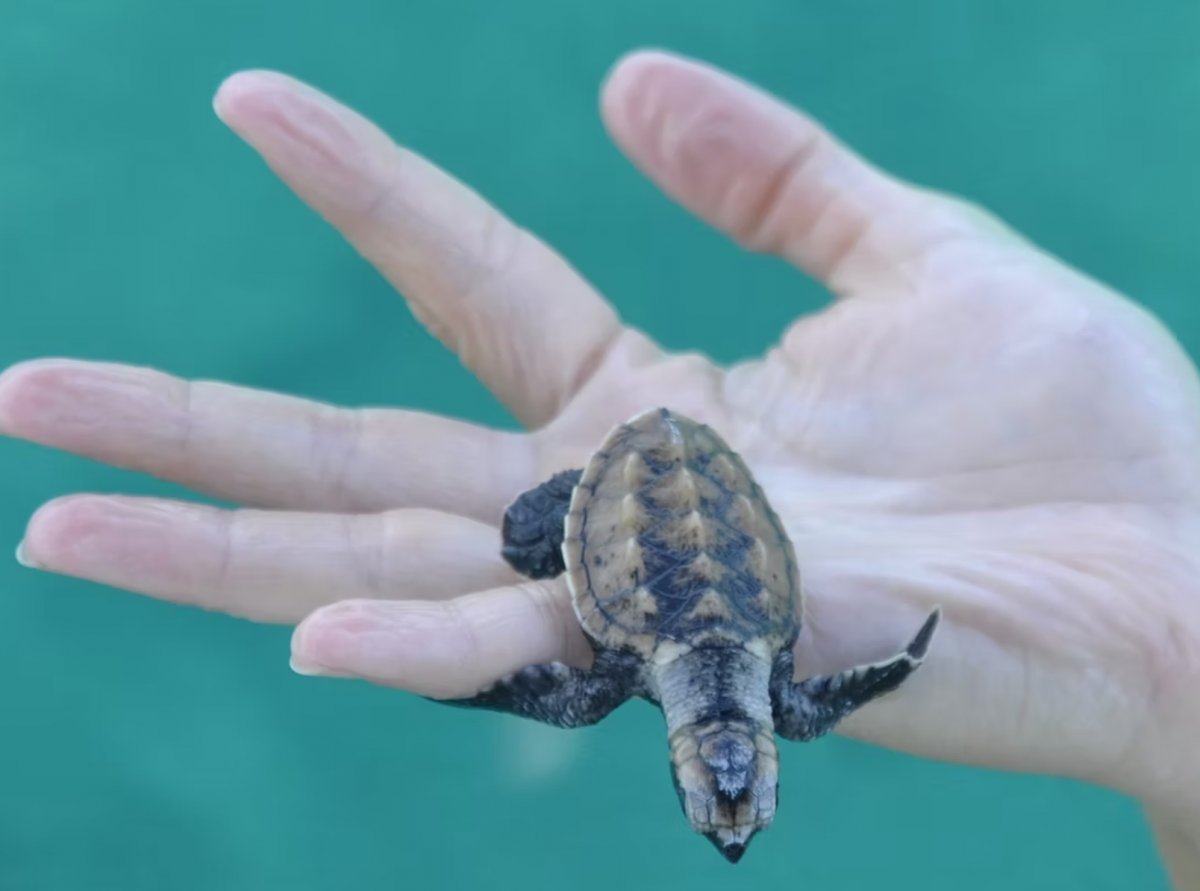 Seychelles from above: aerial views
