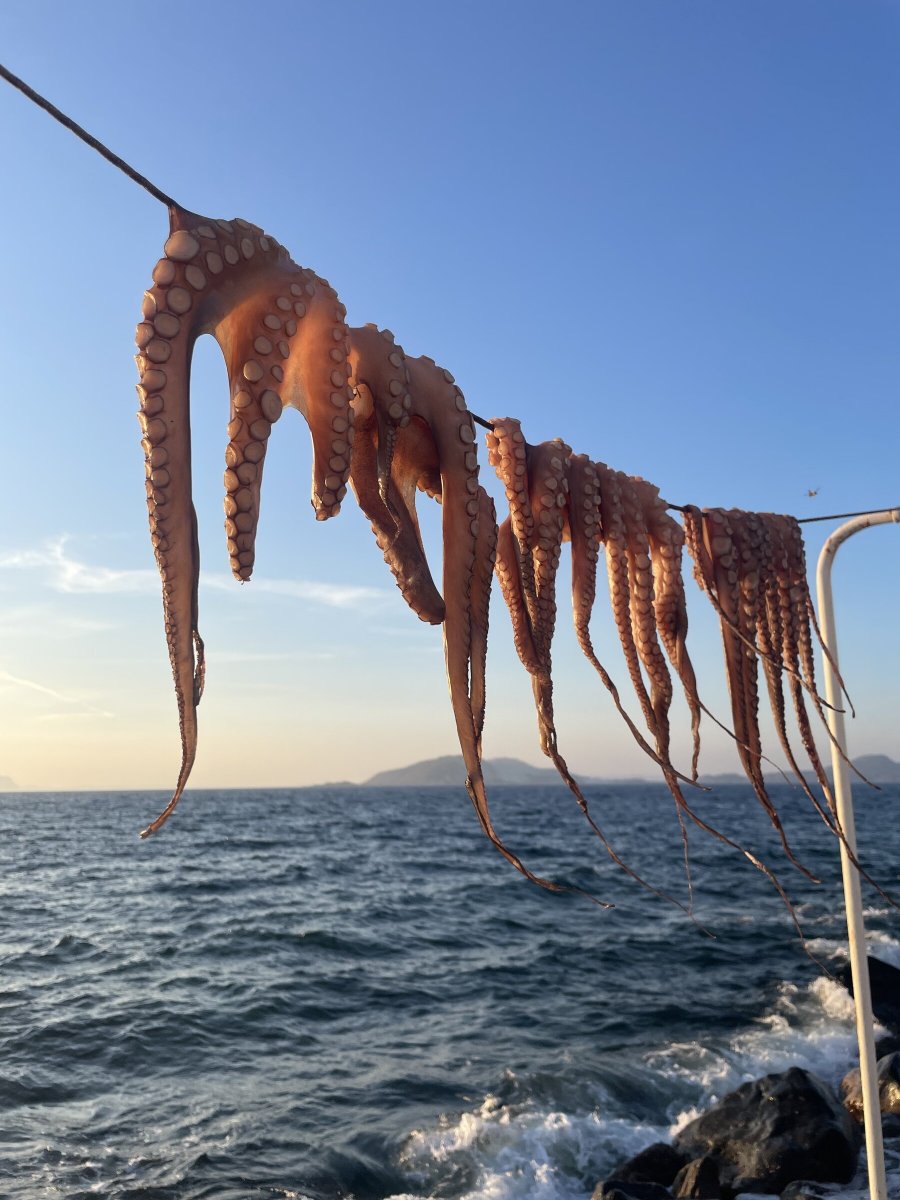 Cruise the Cyclades: Uncover Greek Island Gems