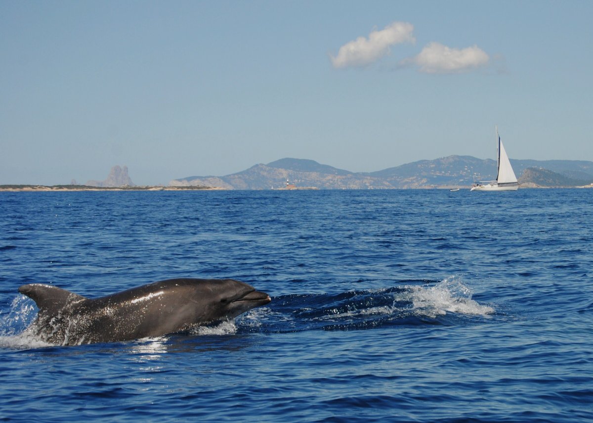 Deep-water diving experience