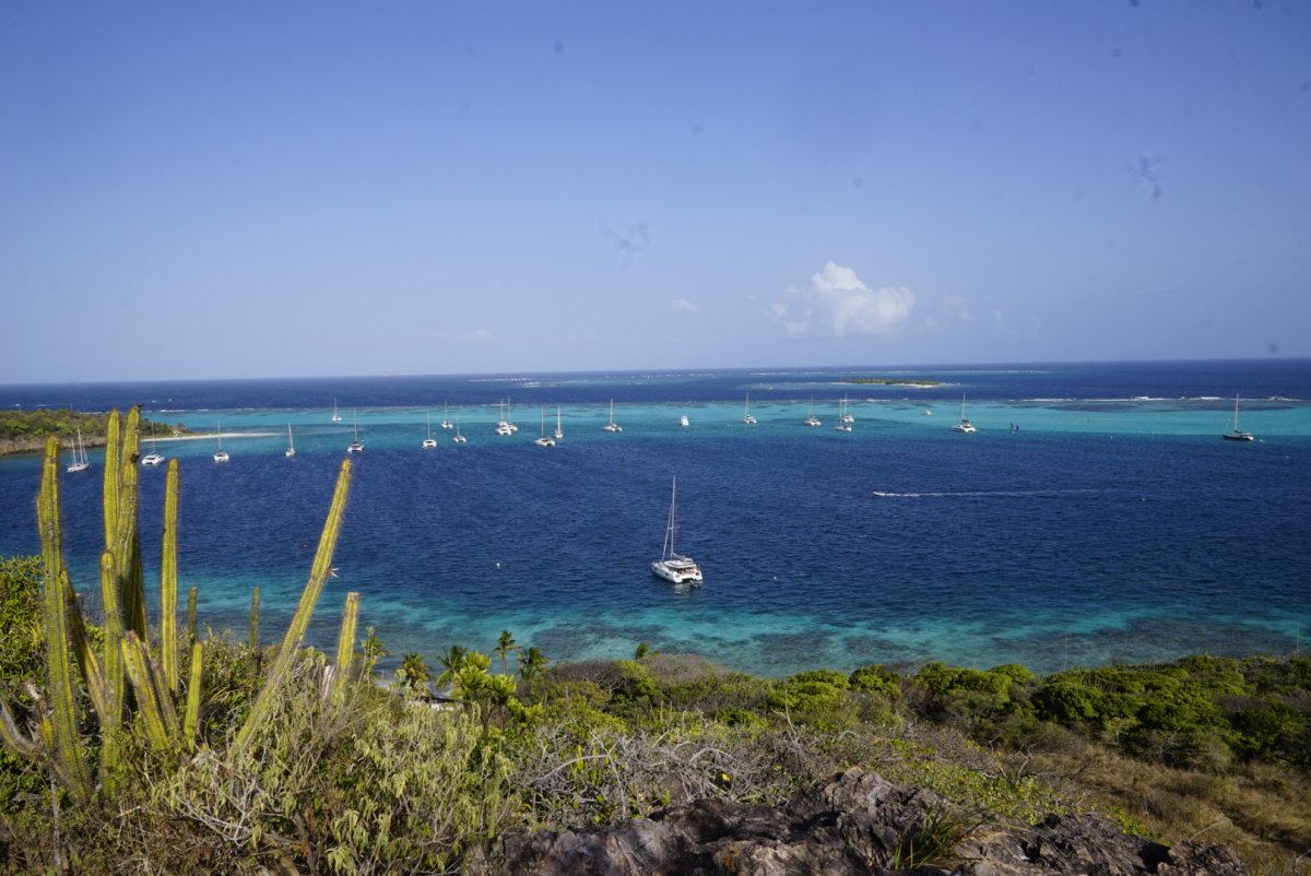 Explore the Caribbean Sea: Martinique, St Lucia, St Vincent, and the Grenadines