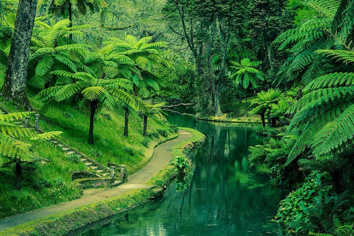 Sailing across the Atlantic to Azores from Vigo.