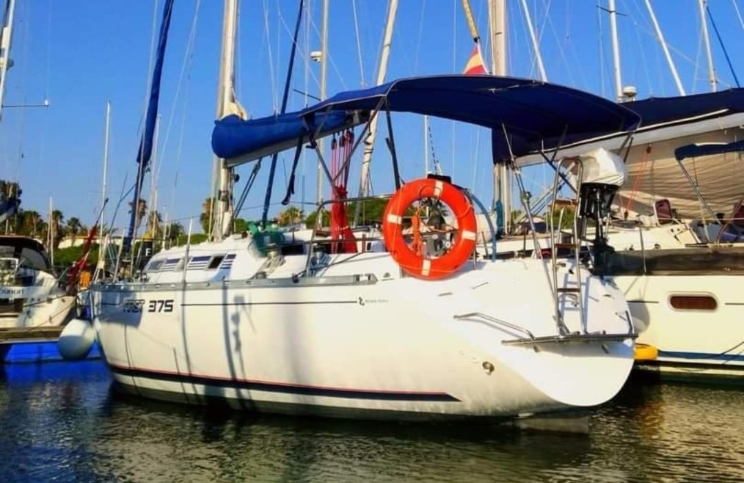 655bbf149f8e28.61214905