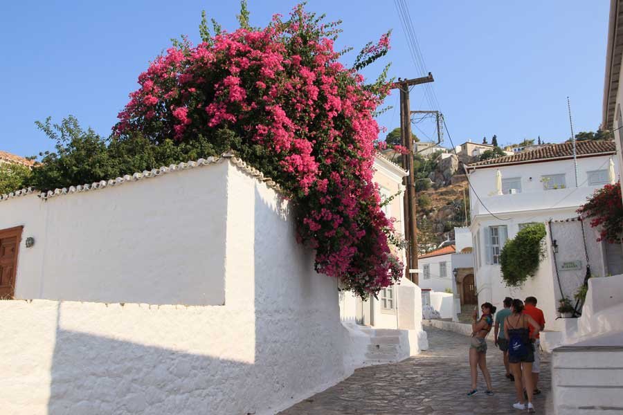viaje en velero por la antigua grecia 