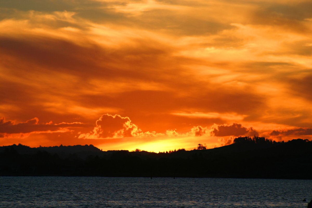 Aprende a navegar en las hermosas aguas de las Islas de la Bahía, Nueva Zelanda