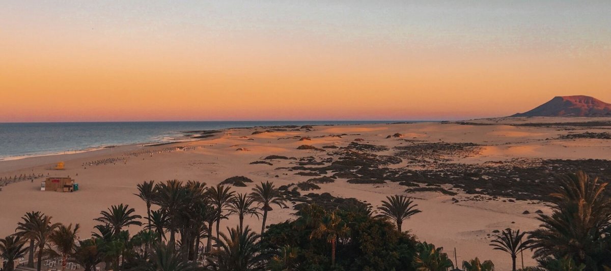 banner_jessy-hoffmann-lSugaEw0eW4-unsplash