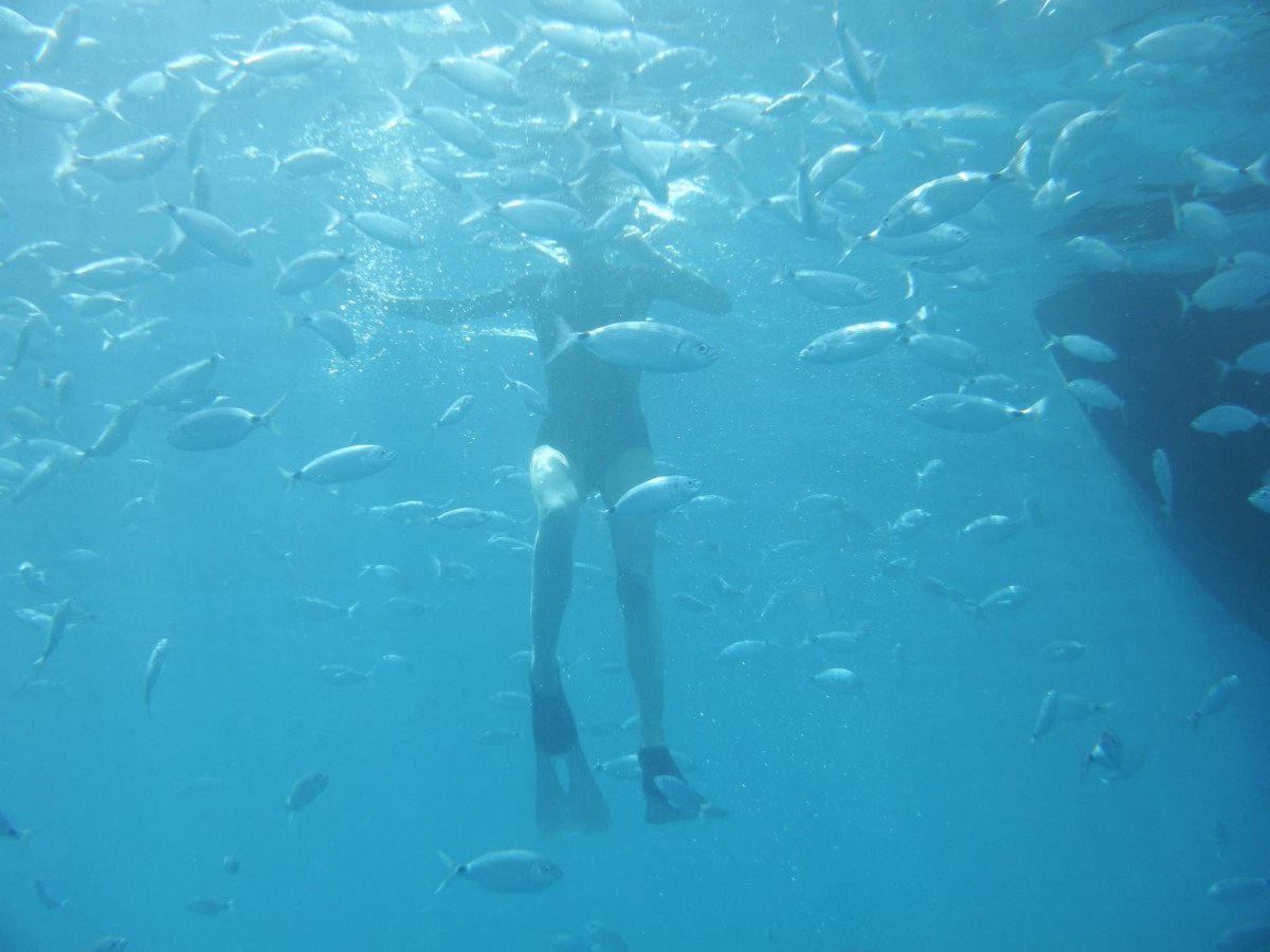 Navega por las aguas del Mediterráneo desde Menorca hasta Sicilia