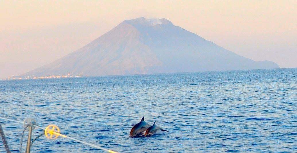 Velero - Bénéteau - Oceanis Clipper 4 11
