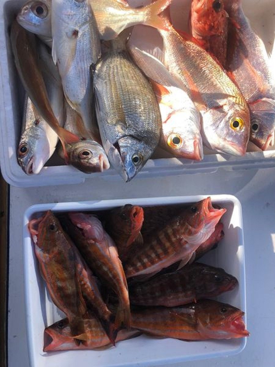Fishing by boat in Fuengirola