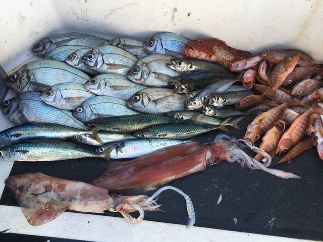 fishing trips bizkaia