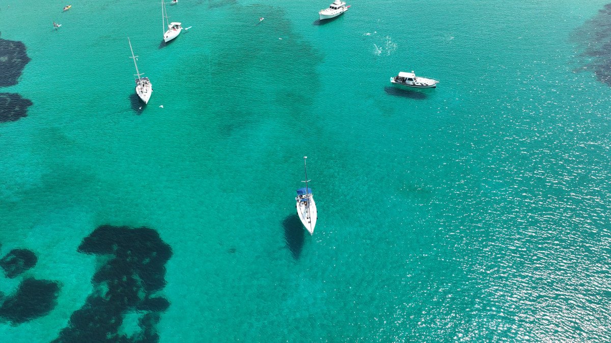 Learning to sail with professionals