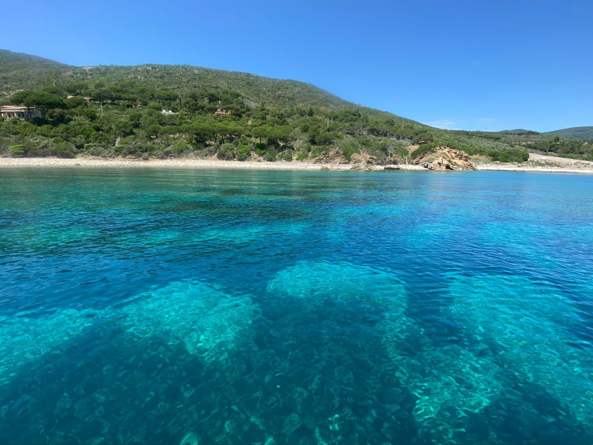 Bootsausflug auf der Insel Elba: Natur und Freunde
