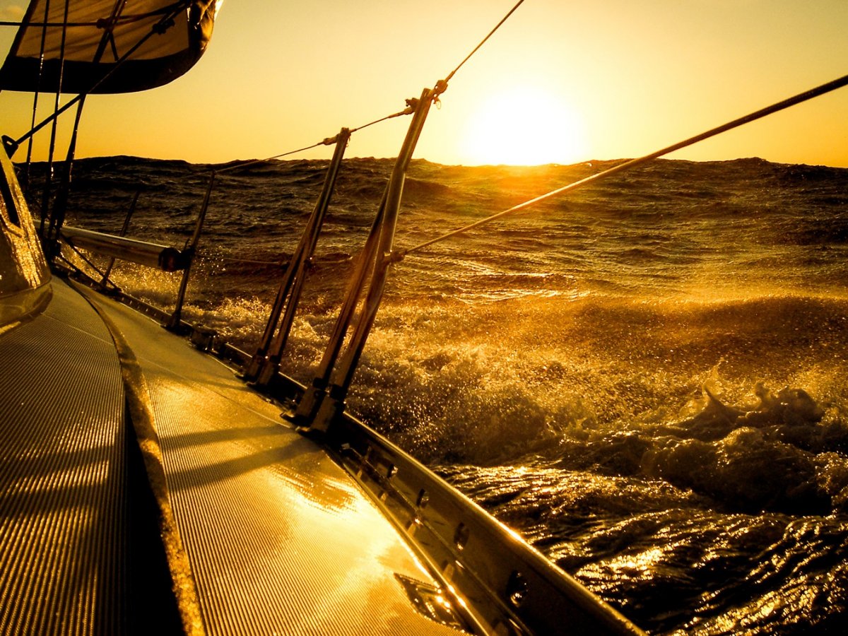 Delphia - 6 {{i18n.capacity}}