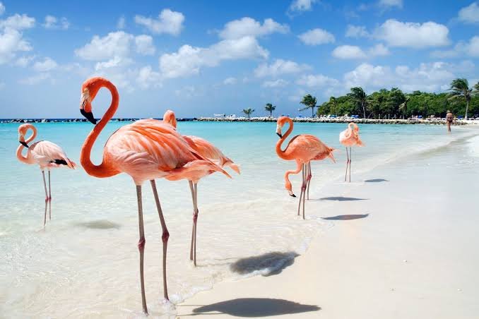 Explore Colombia and Panama with a catamaran sailing tour