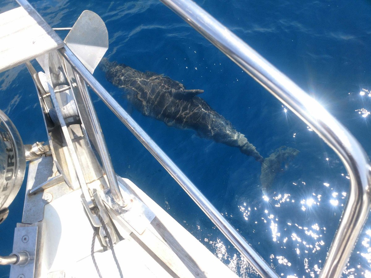 IMG_20180531_130601490