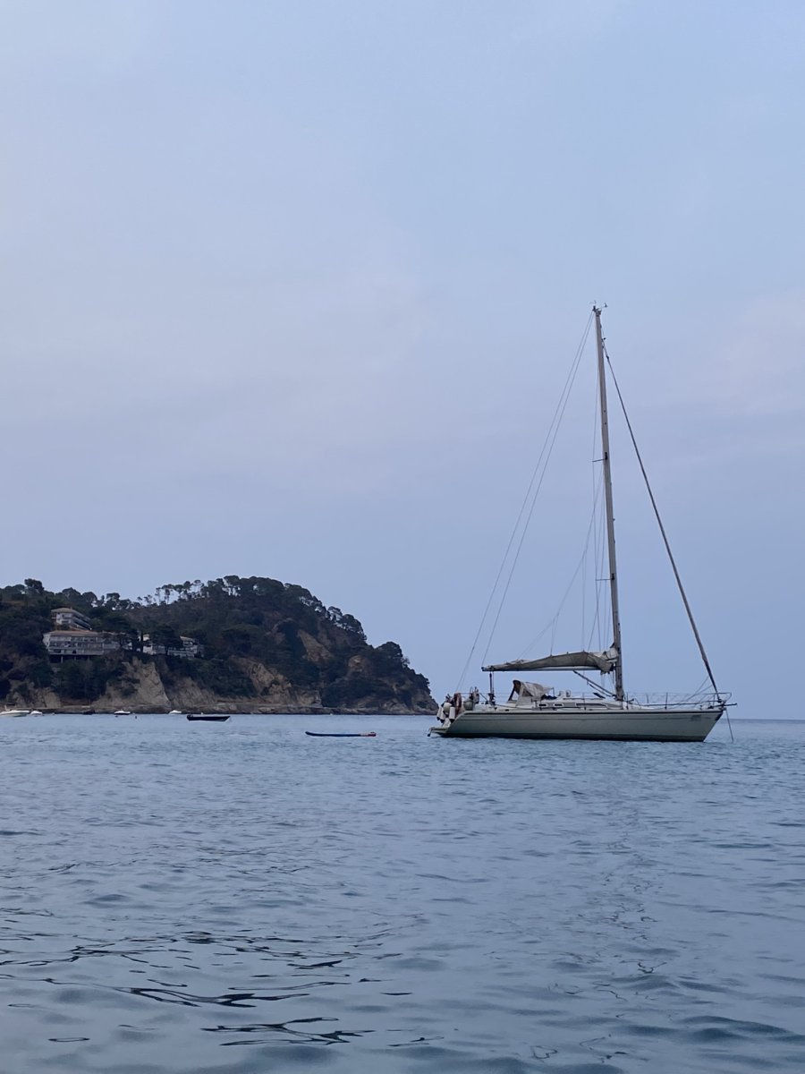 Dehler - Dehler 36 CWS