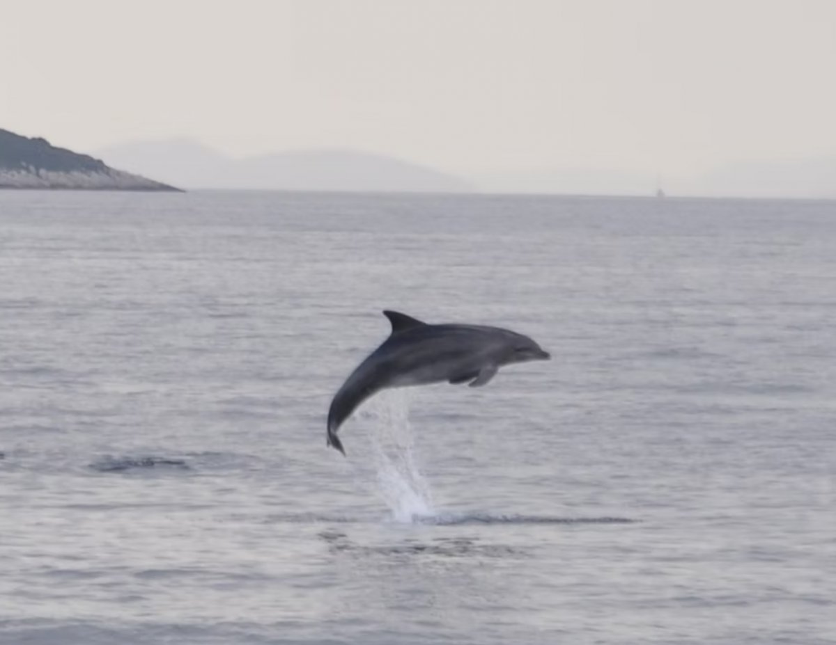Corso di navigazione nell'Adriatico