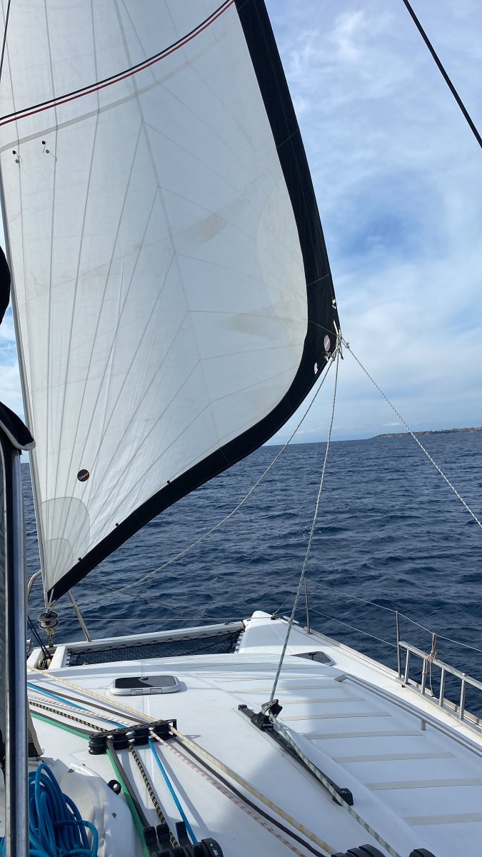 Discover the Atlantic on a boat