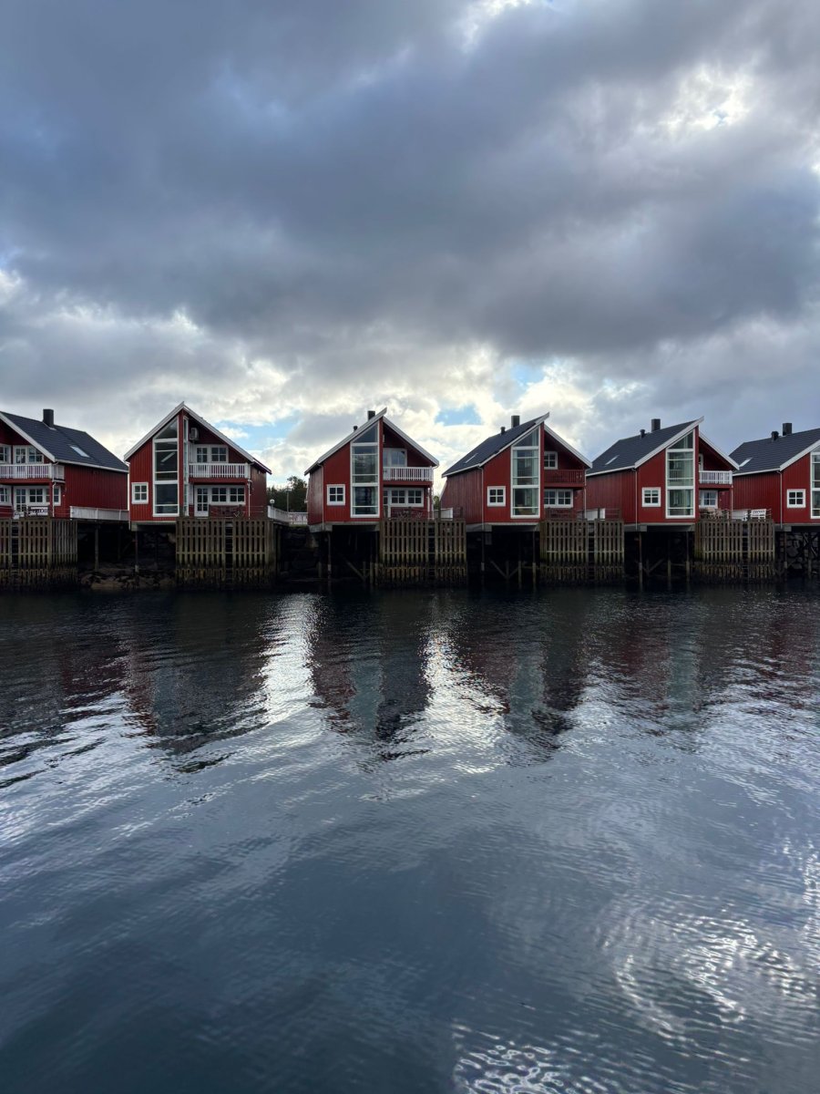 Discover the boreal Arctic fjords on an expedition through Norway