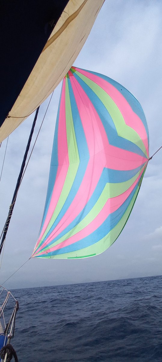 Barca a vela - Bénéteau - Oceanis 411 Clipper