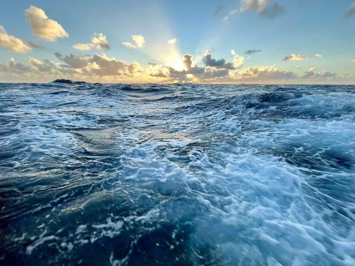 Sailing the Atlantic: Lorient - Las Palmas - Santa Lucia