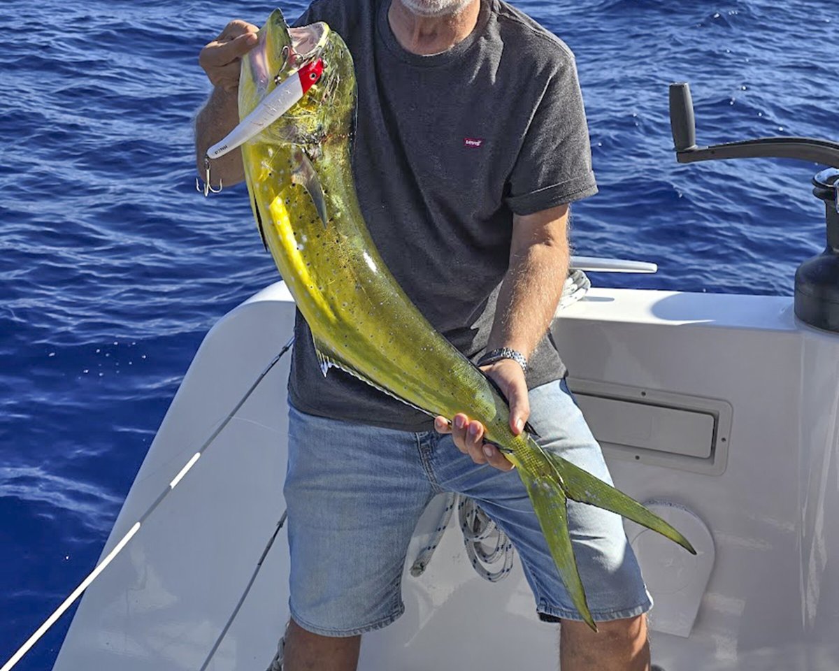 Dal Caraibi alle Isole Baleari in catamarano
