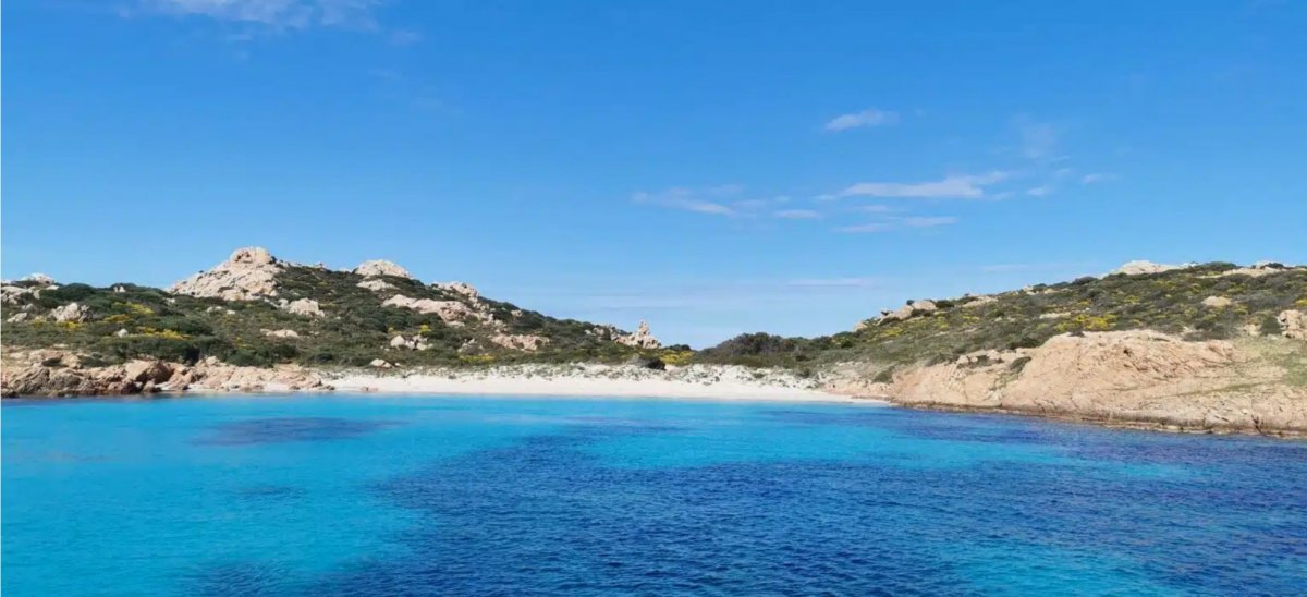 Bildschirmfoto 2024-10-17 um 11.13.53