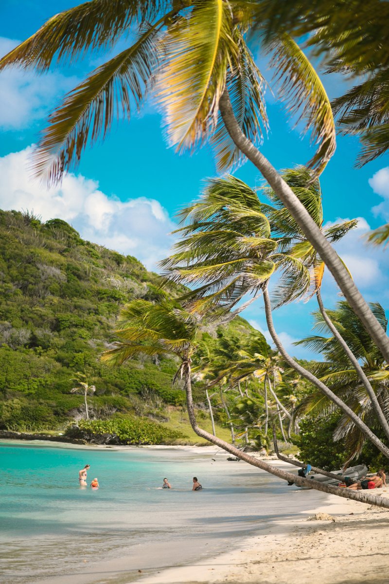 Sailing Aura 51 through the Caribbean Grenadines, 2 weeks