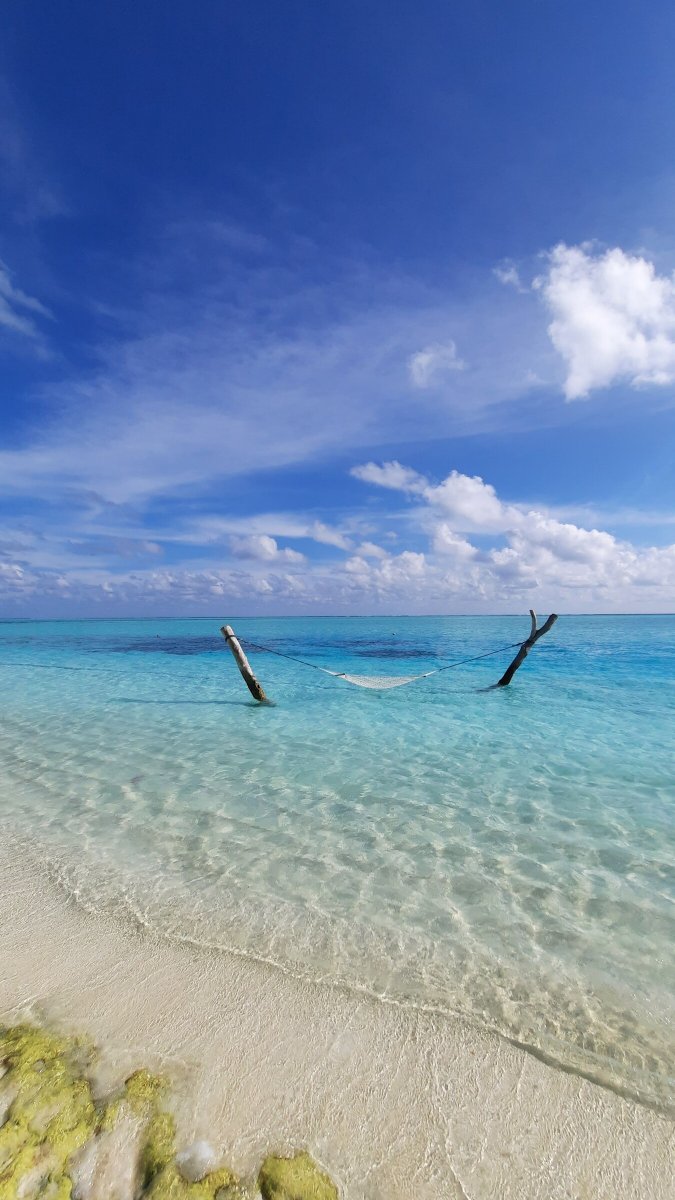 Vacanze in catamarano nei Caraibi con cocktail e cuoco: Guadalupa, Antigua