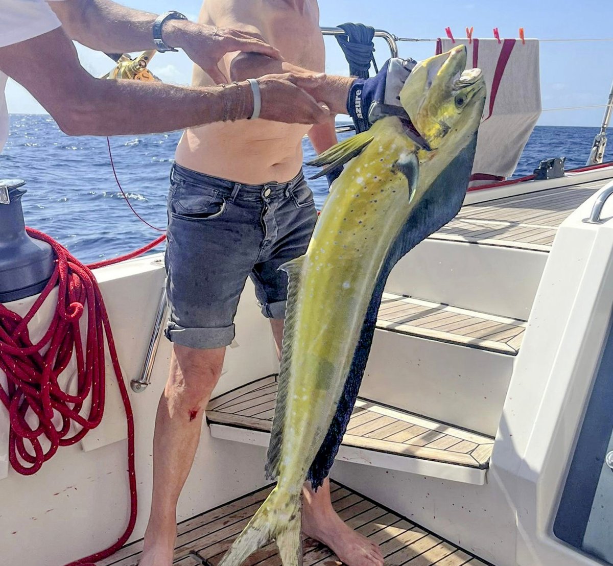 Explora el Mediterráneo en una travesía de velero