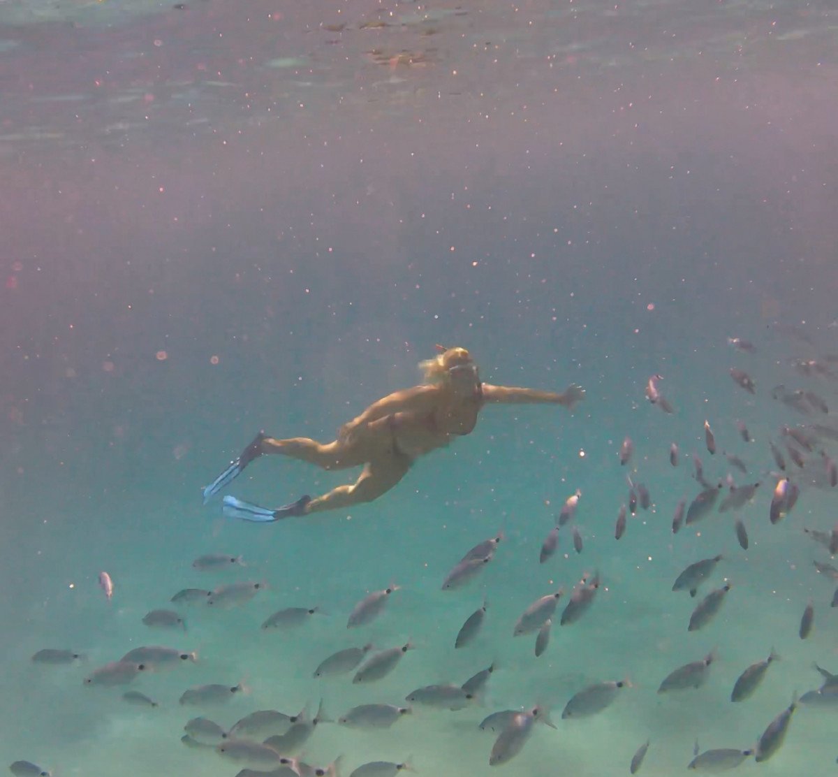Tagestour in Cagliari mit Segelboot