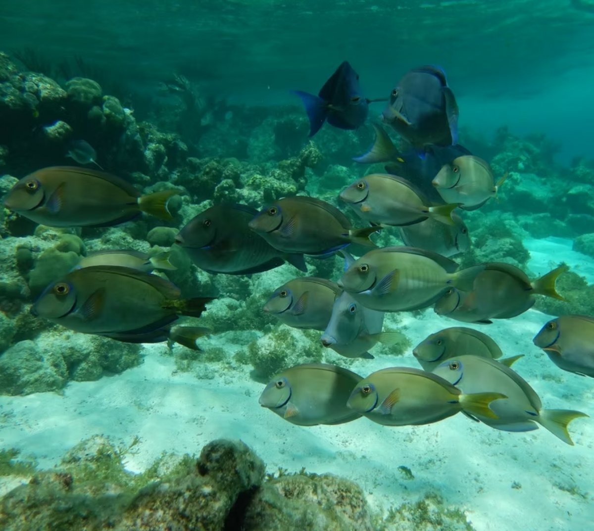 A dream journey on a catamaran through the Caribbean