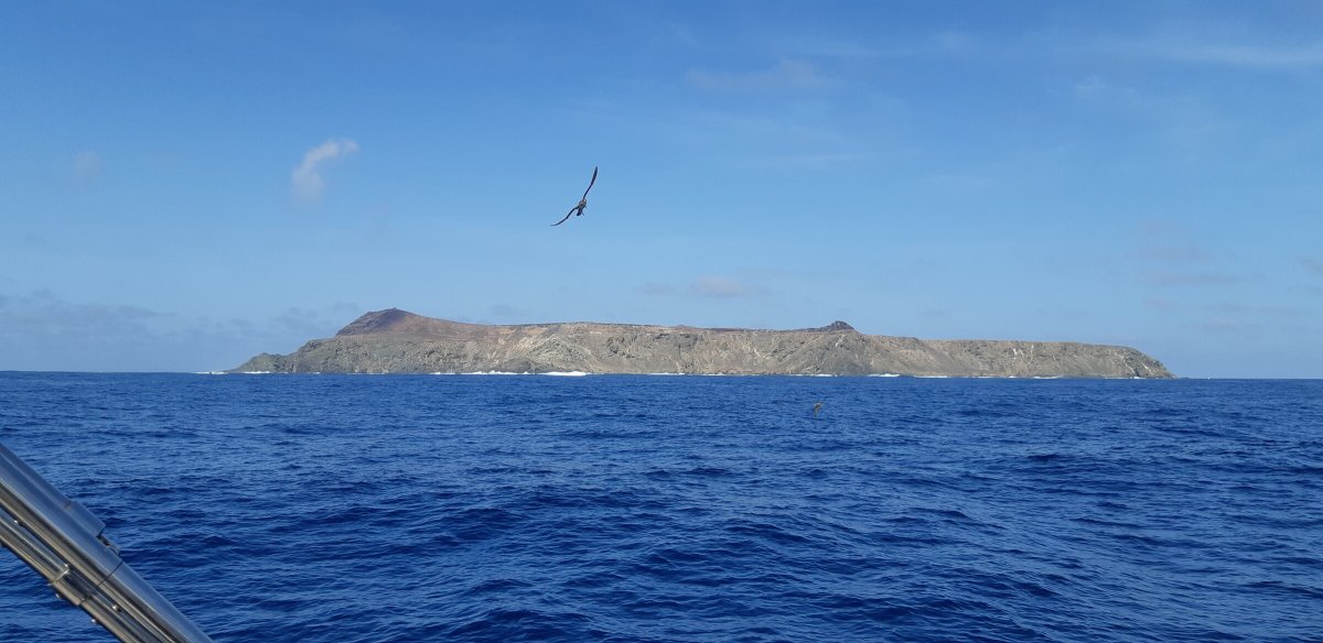 Erkunde die atlantischen Inseln auf einer unvergesslichen Reise