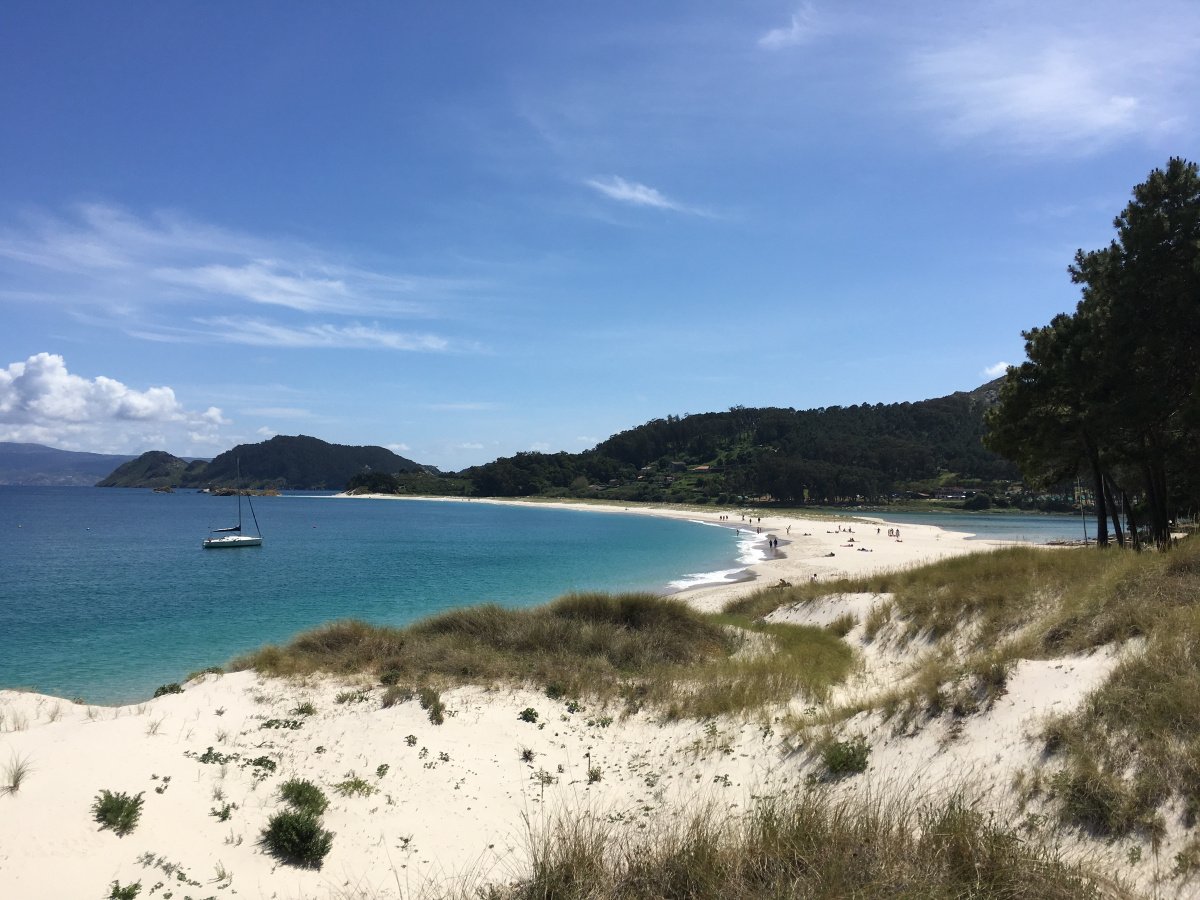 6D988B76-3BEB-4D09-8BB9-79A29DF9BEA5