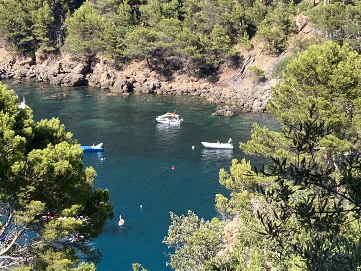 Naviga 300 miglia in 8 giorni nel Mediterraneo.