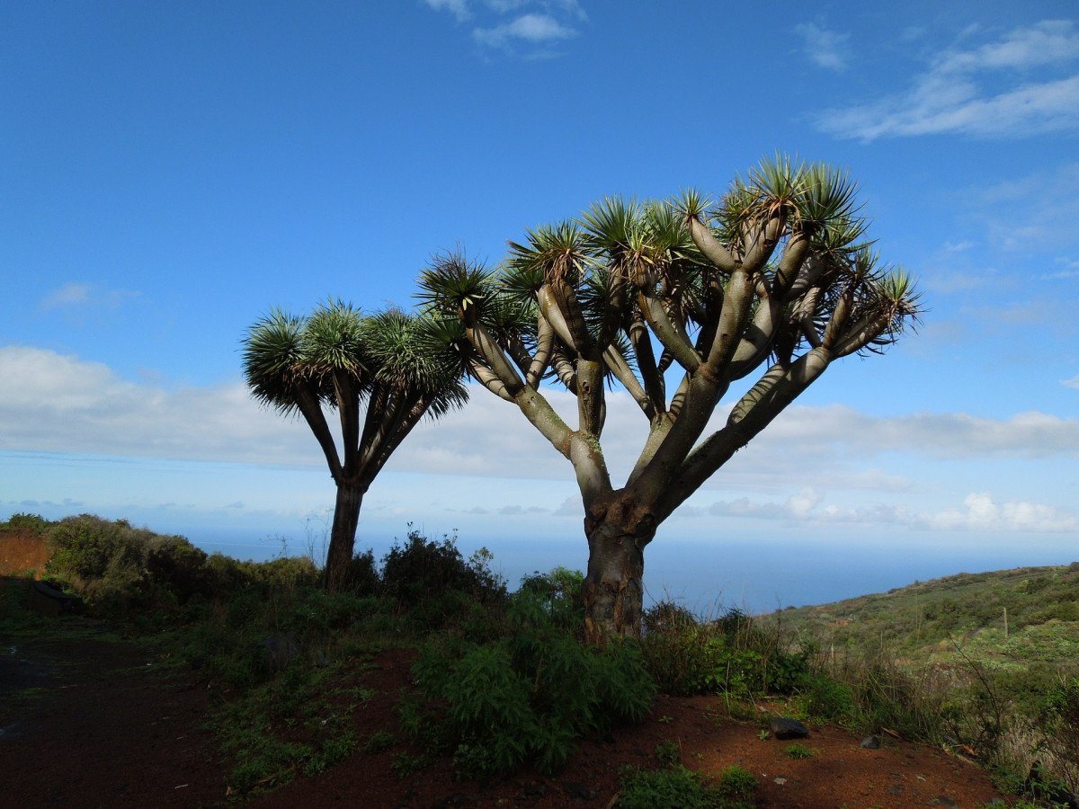Taking in the sights of the Canary Islands from a sailboat
