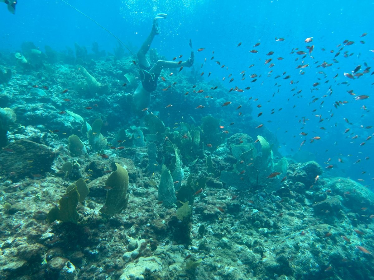 Un'avventura nautica alle Isole del Rosario da Cartagena de Indias