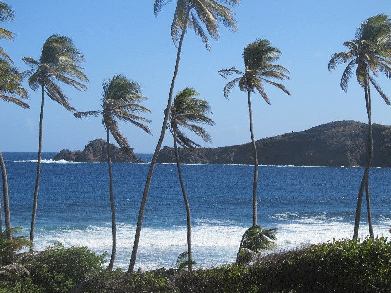 Pesca deportiva en San Bartolomé
