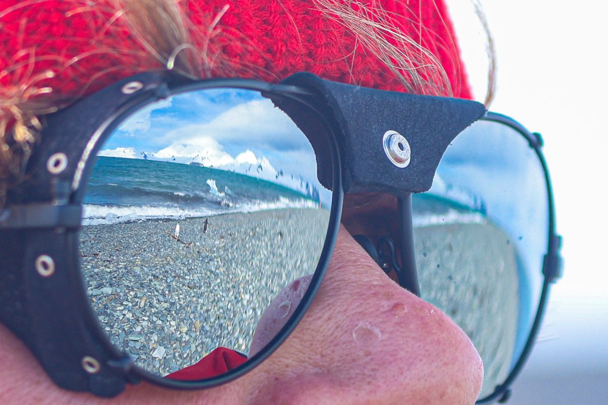 Expedición antártica bajo vela, explorando icebergs y paisajes glaciares